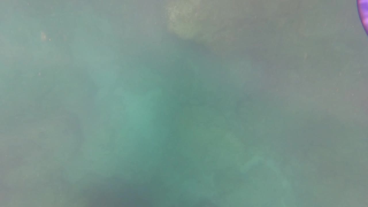 Murky San Jose Del Cabo underwater view with rocky bottom texture and a purple hula hoop edge entering at the top right, with no visible people.