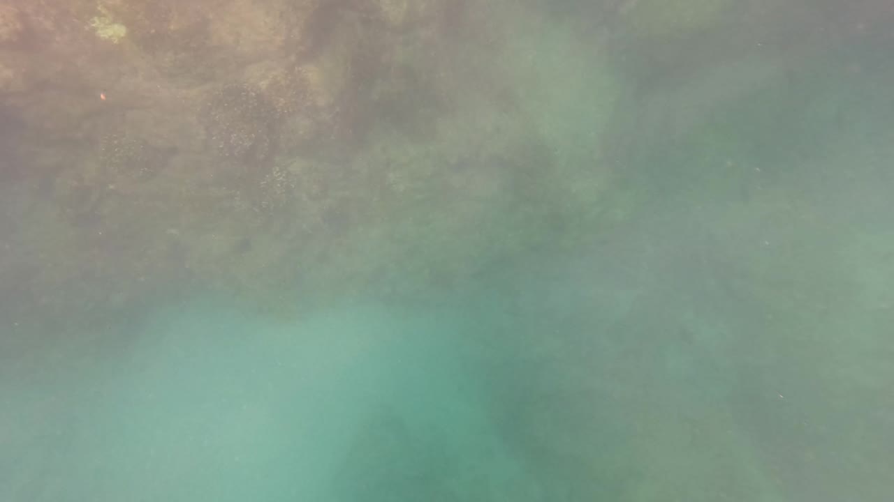 Underwater frame in San Jose del Cabo, Mexico, with green-blue water, soft light, and faint rock forms below, with no visible people.