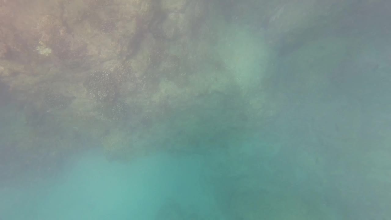 Cloudier underwater view in San Jose del Cabo, Mexico, with turquoise water and a faint seabed visible through haze, with no visible people.