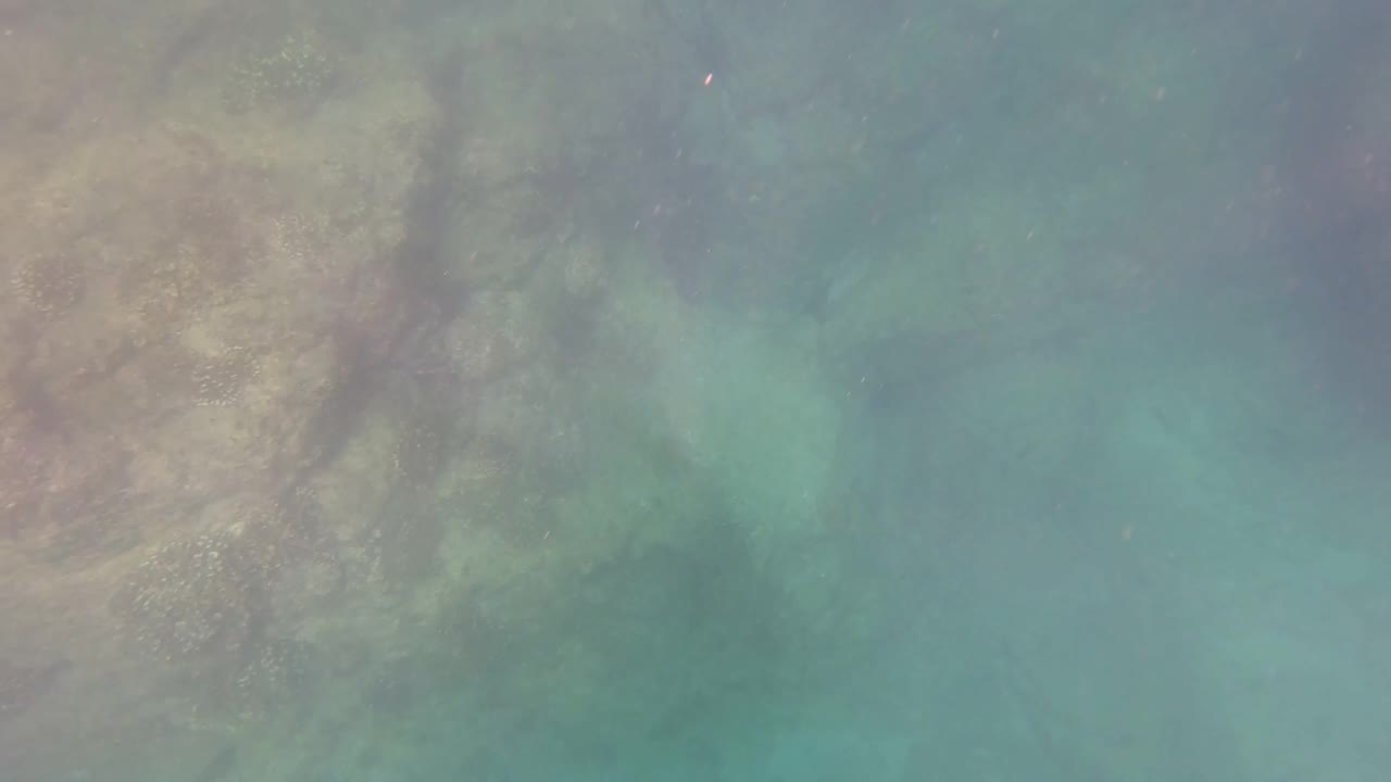 Underwater San Jose del Cabo frame showing a rocky seabed at left and blue-green water across the frame, with no visible people.