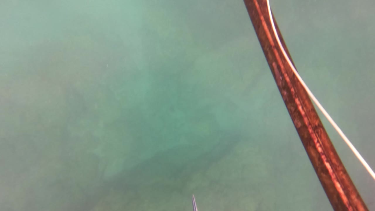 Spearfishing line over clear underwater seabed.