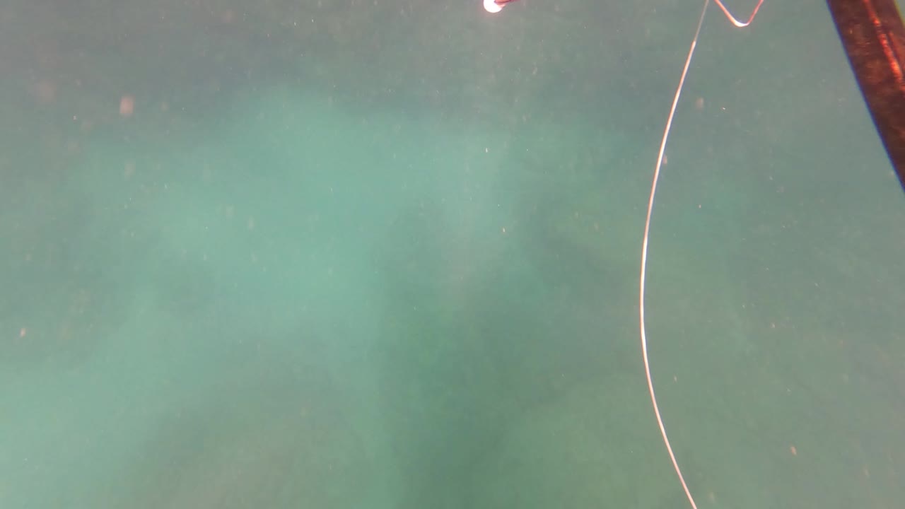 A reddish spearfishing pole cuts down the right side of the underwater frame in San Jose del Cabo, with a line nearby and no visible people.