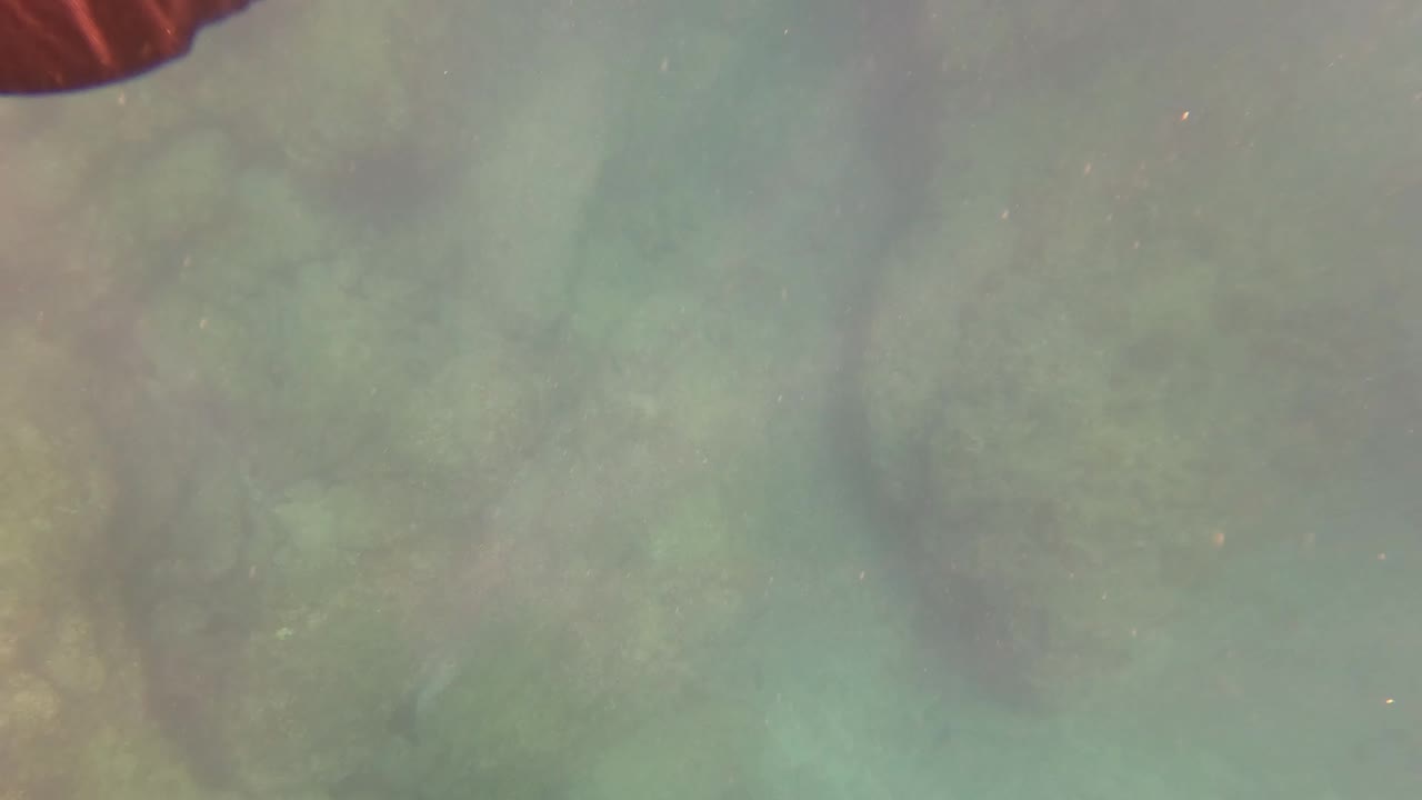San Jose Del Cabo underwater view of rounded seabed rocks through green-blue water, with a small red edge visible at the upper left and no visible people.