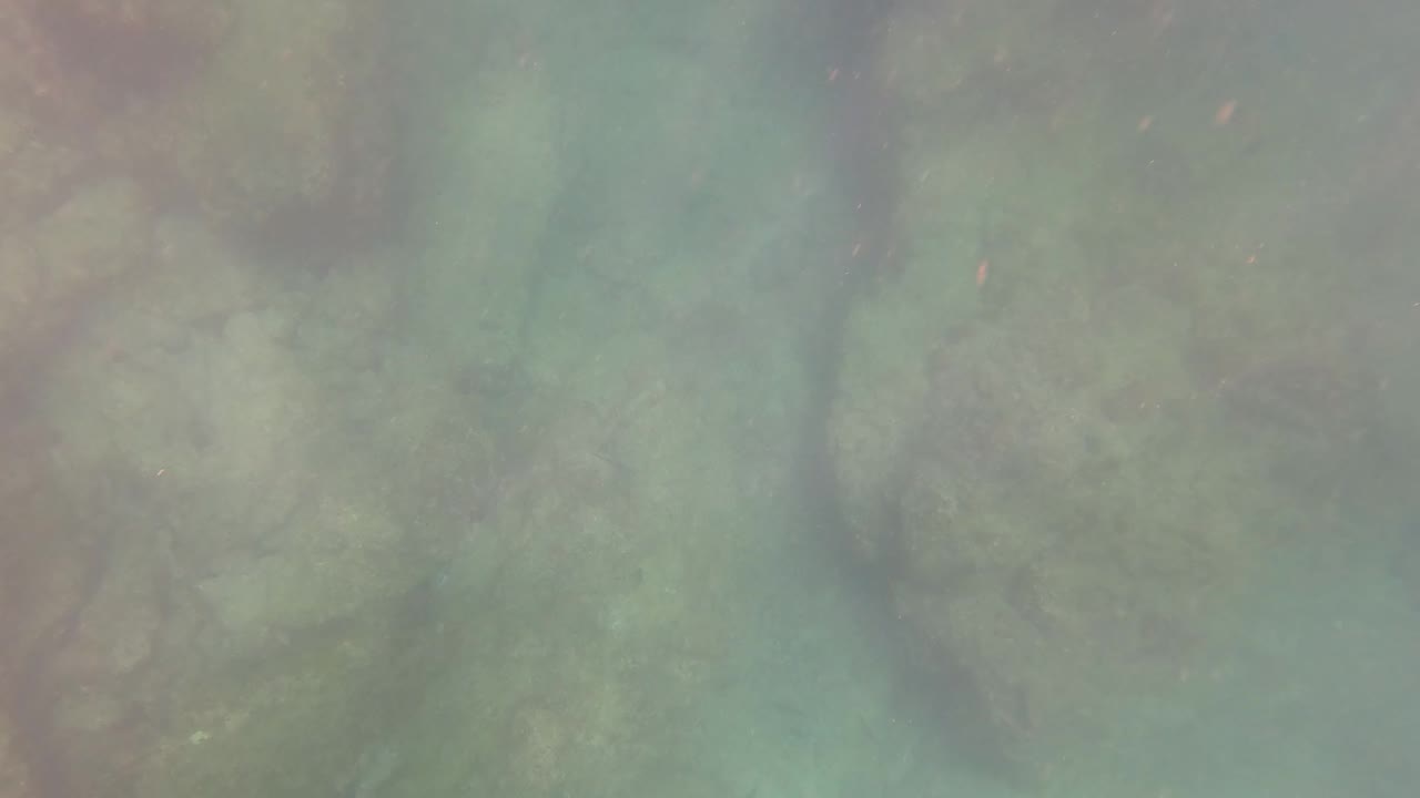 San Jose Del Cabo seabed rocks appear softened by murky turquoise water, with suspended particles and no visible people.