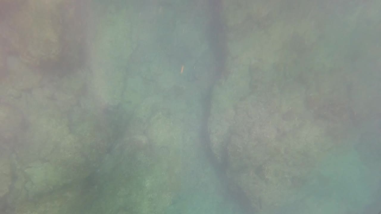 San Jose Del Cabo underwater rock formations fill the frame beneath pale green water, with diffused light and no visible people.