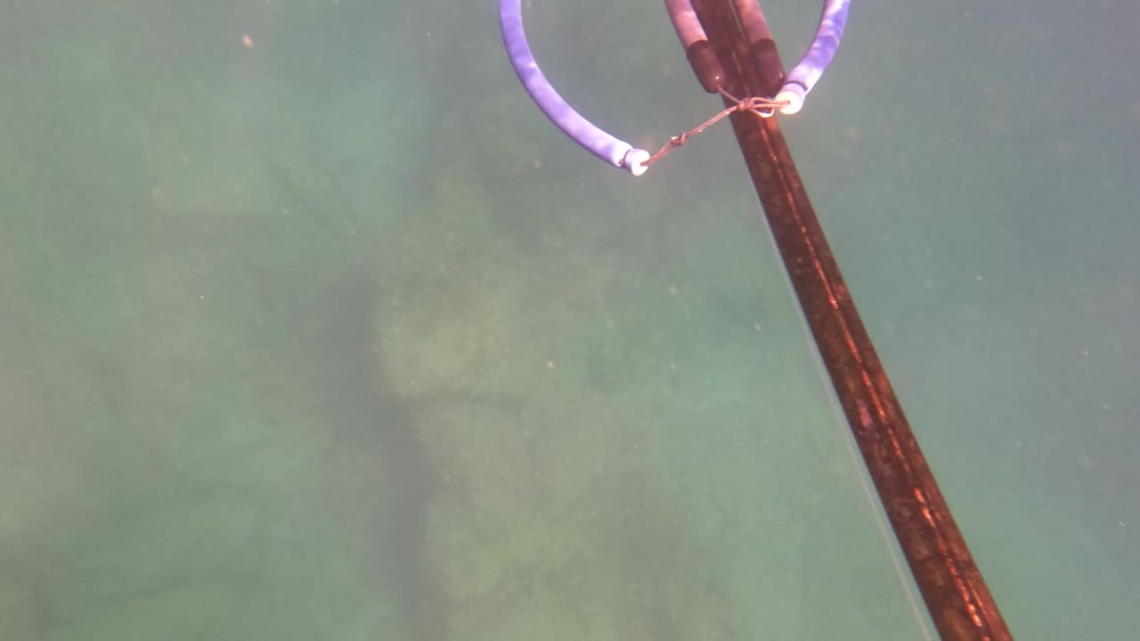 A wooden pole and purple loop cross the frame over clear green water and submerged rocks in San Jose Del Cabo, Mexico, with no visible people.