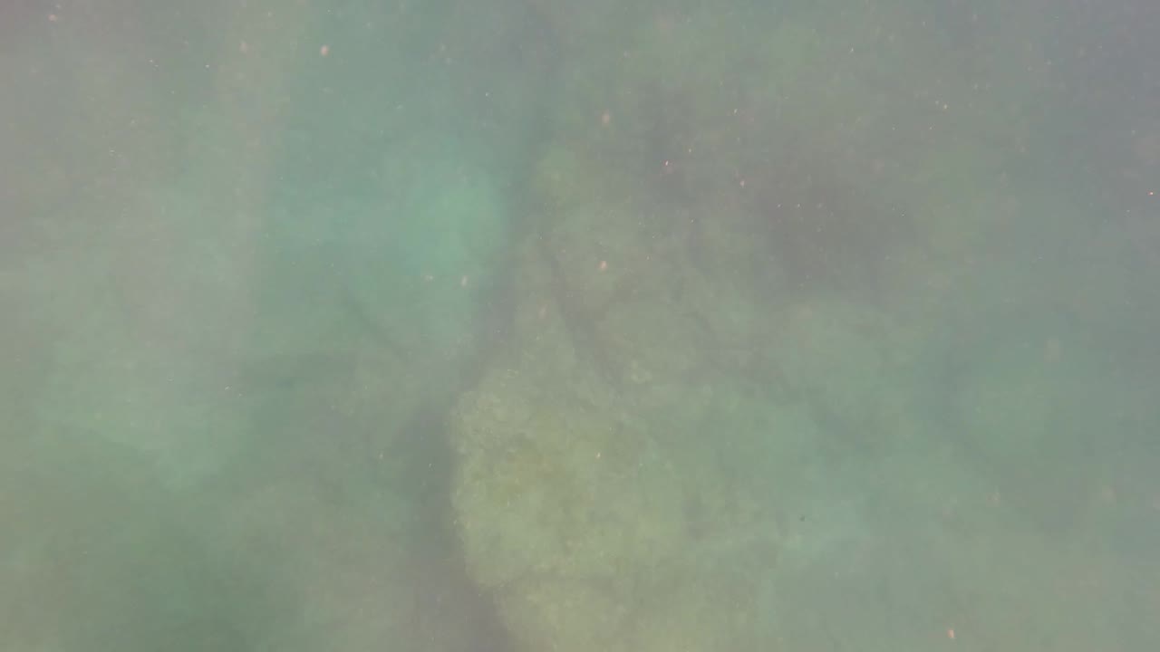 Pale rocky formations sit beneath slightly hazy green water in San Jose Del Cabo, Mexico, with no visible people or structures.