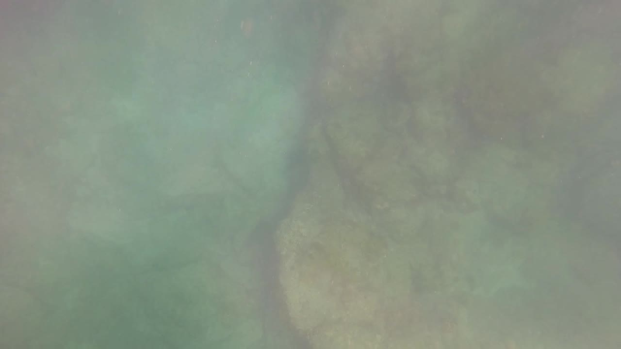 Muted green water covers a rocky seabed with darker crevices and soft light in San Jose Del Cabo, Mexico, with no visible people.