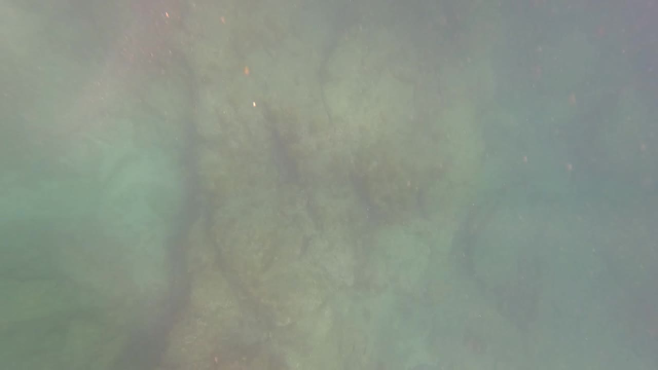 Green underwater view of pale rocks and suspended particles