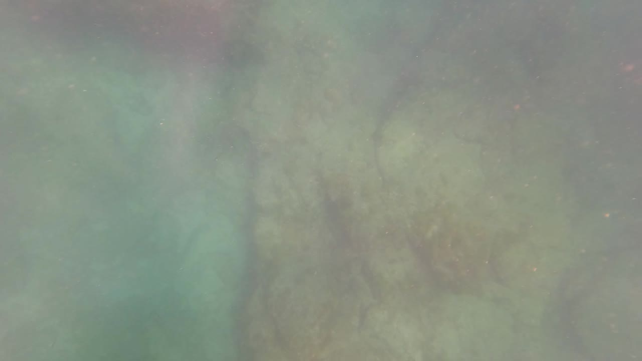 San Jose Del Cabo underwater frame with rounded pale seabed rocks, green water haze, drifting particles, and no visible people.