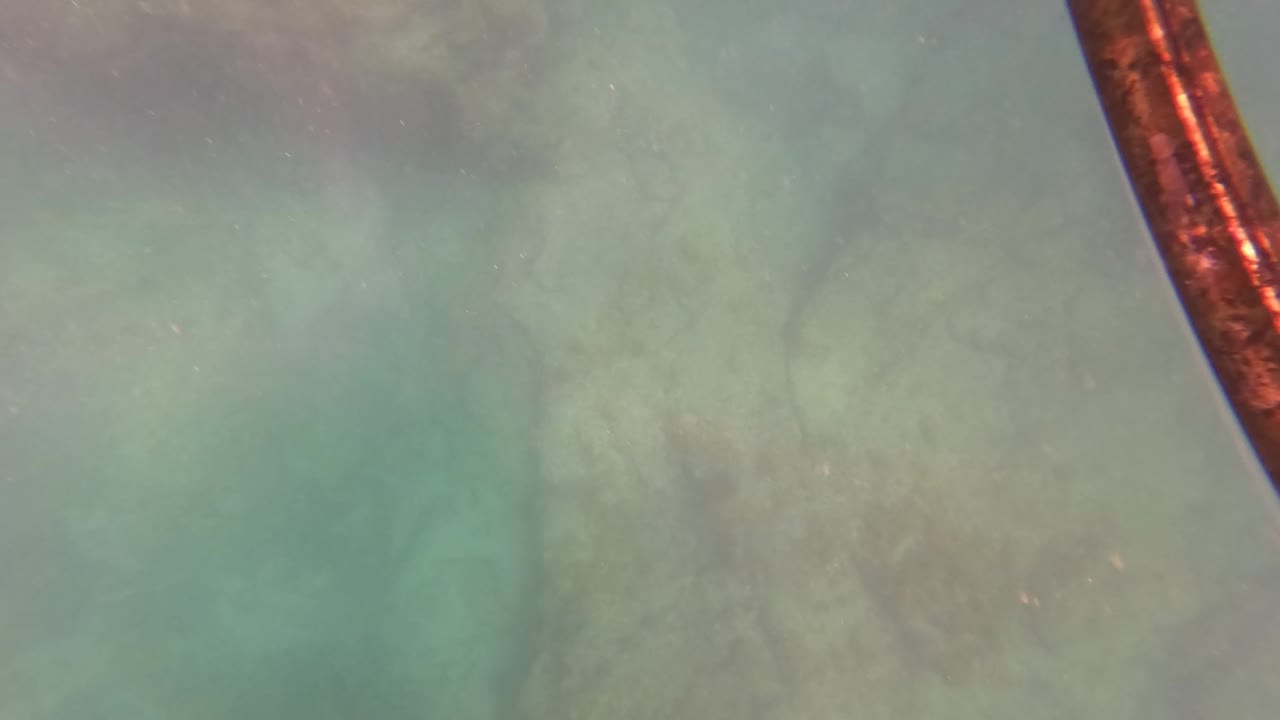 San Jose Del Cabo underwater frame showing rocky seabed in green water with a red-brown curved object entering from the right edge and no visible people.