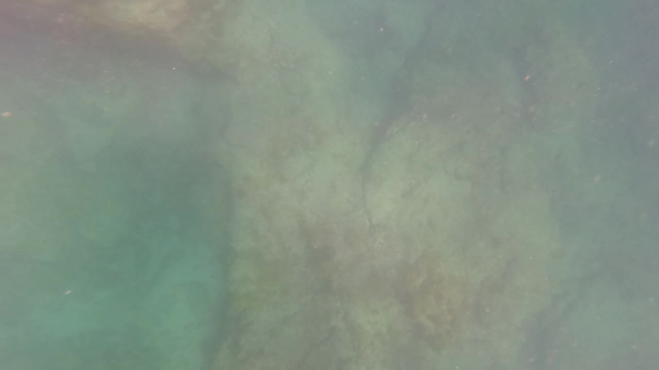 San Jose Del Cabo underwater frame with pale rock forms filling the lower view, green water above them, scattered particles, and no visible people.