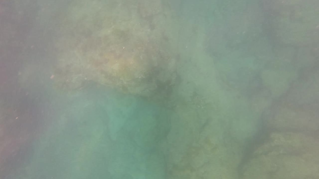 Hazy green underwater view of rocky seabed