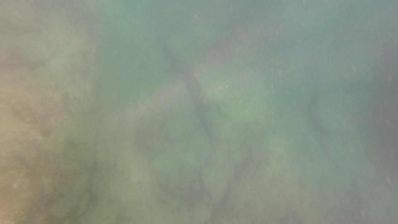Greenish underwater rocks appear through cloudy water in San Jose del Cabo after the pole detail has left the frame, with no visible people.
