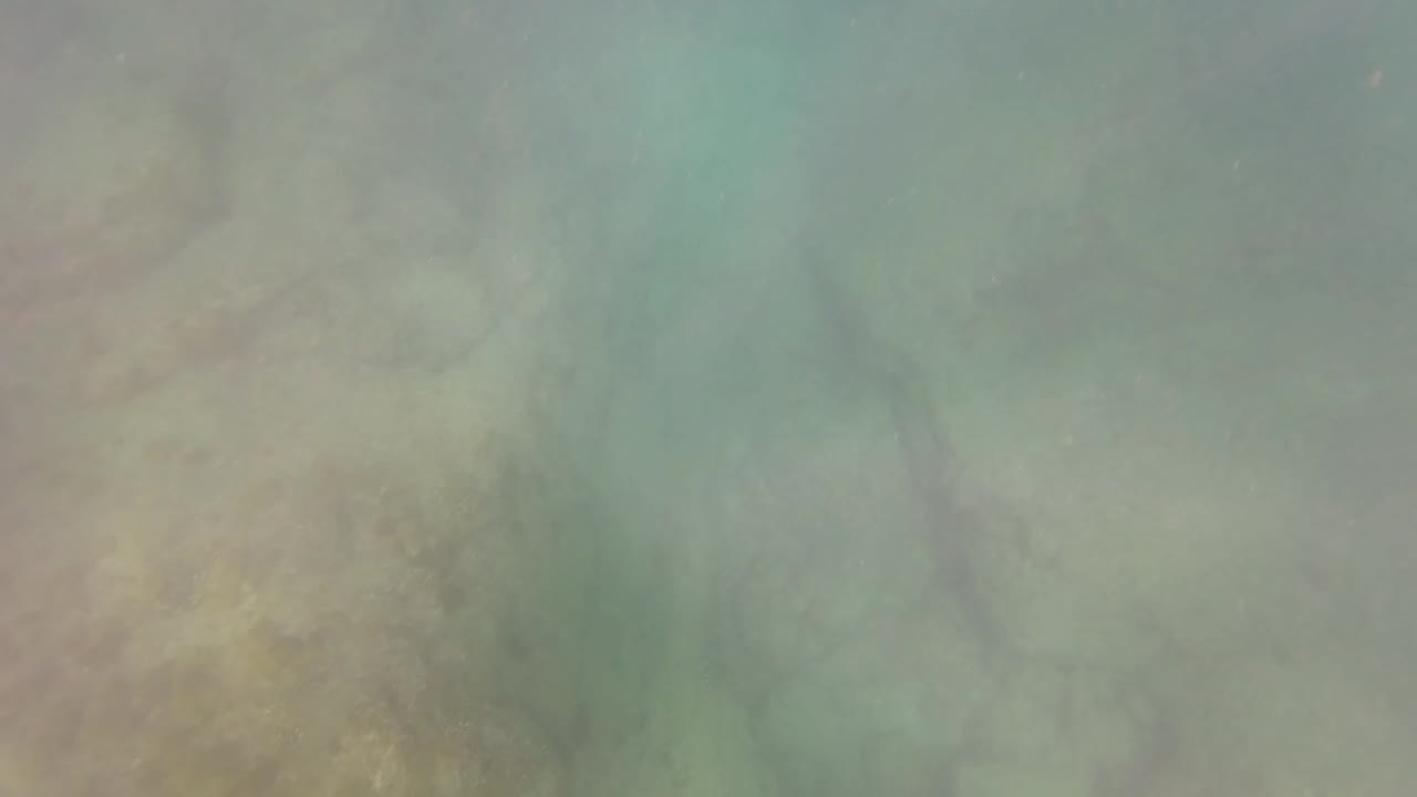 Soft, hazy green underwater seabed fills the frame in San Jose del Cabo, with rocks visible beneath the water and no visible people.
