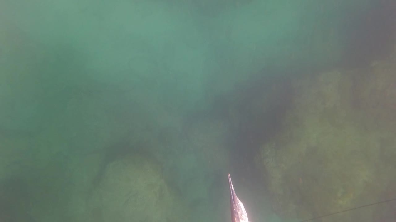 Greenish underwater view in San Jose Del Cabo with submerged rocks, cloudy light, and a pale fish shape entering near the lower edge.