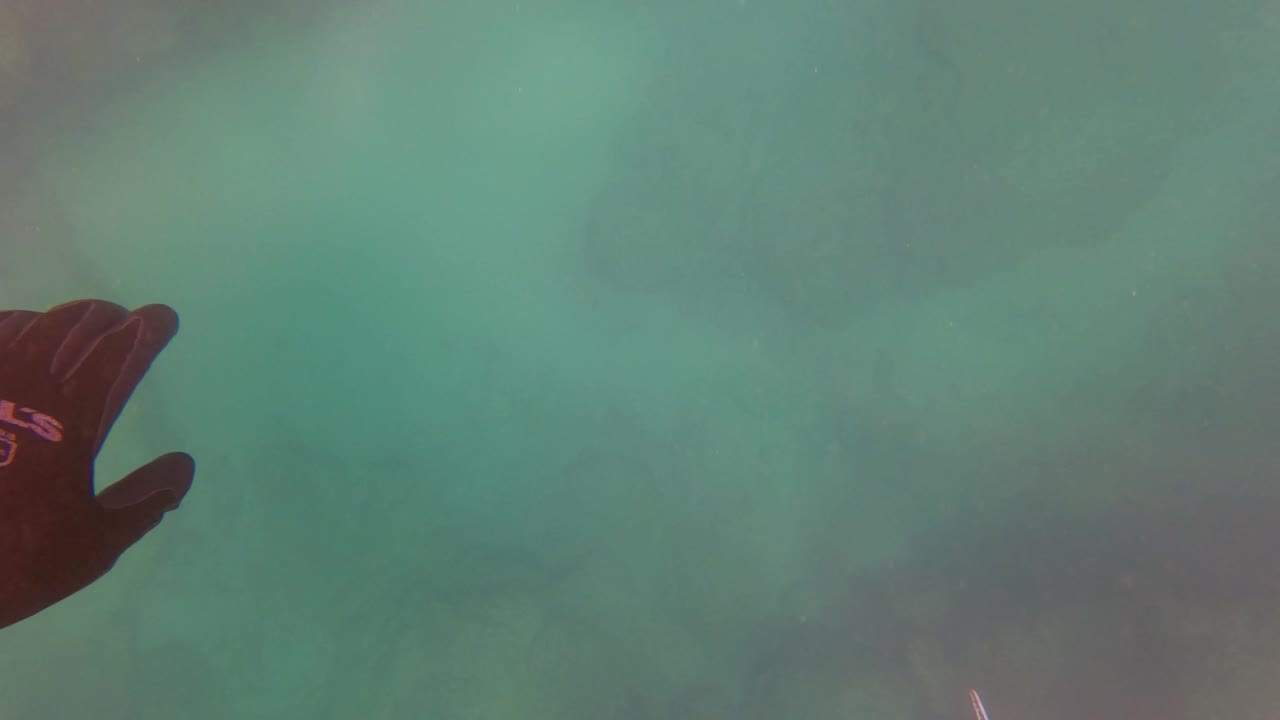 A dark gloved hand enters the upper part of the San Jose Del Cabo underwater frame above green water and faint rock shapes.