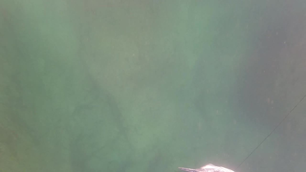 Green murky water remains across the full frame in San Jose del Cabo, with faint surface ripples and no visible people.