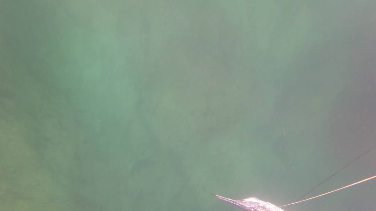 A small pale boat or float sits partly visible along the lower edge of murky green water in San Jose del Cabo, with no visible people.