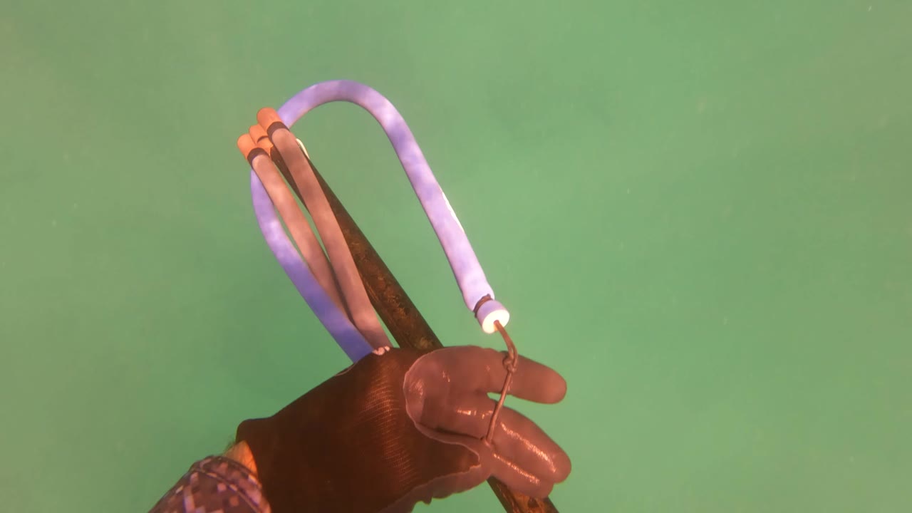 A gloved hand grips a handheld bow with purple cord in green underwater visibility in San Jose Del Cabo, Baja California Sur, Mexico.