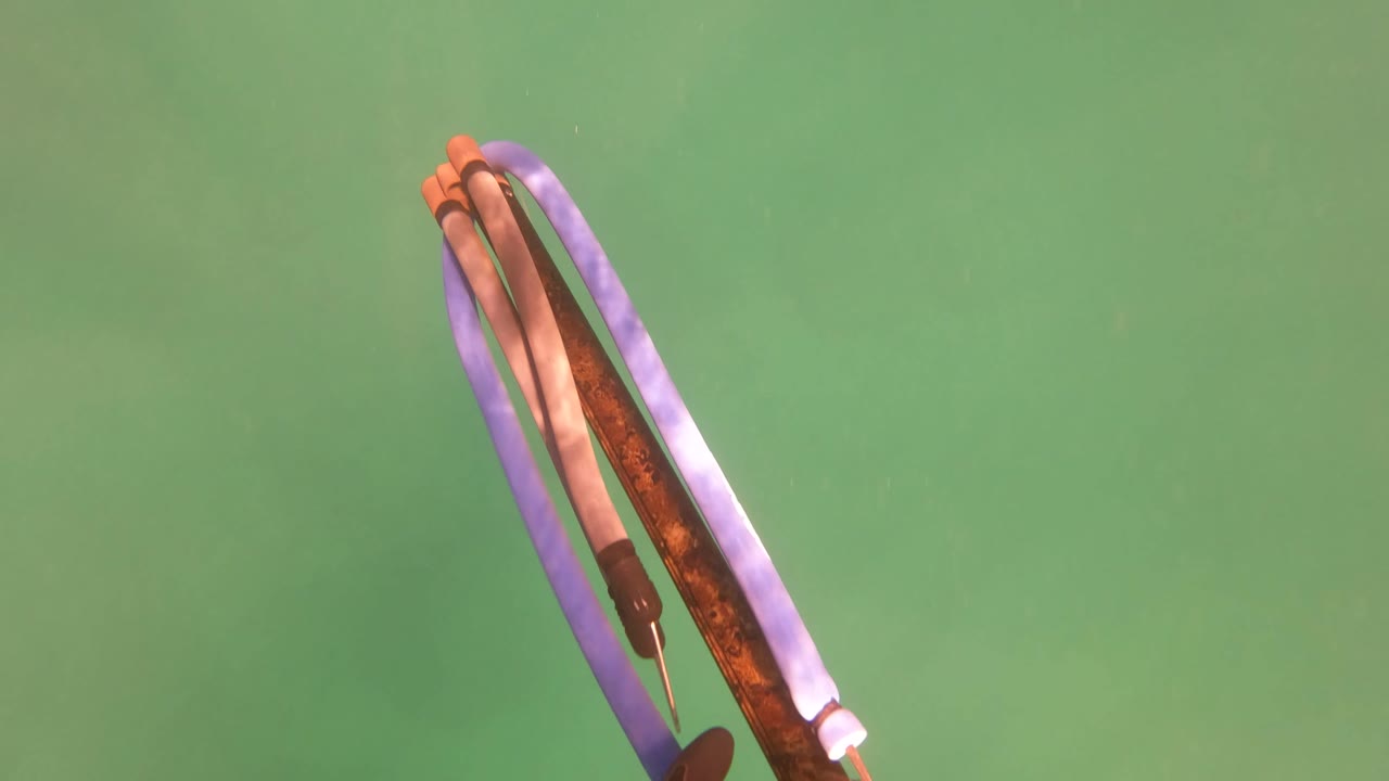Underwater bow partly visible near the top of green water.