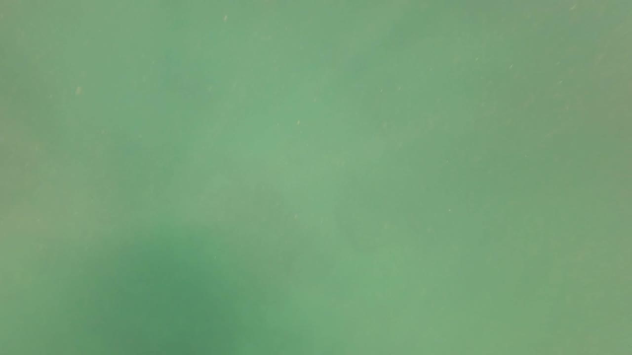 Open green underwater water fills the frame in San Jose Del Cabo, with faint particles and no visible people or fishing gear.