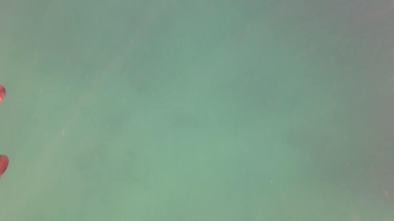 Underwater turquoise water in San Jose Del Cabo with partial body shapes at the far edges and no recognizable people visible.