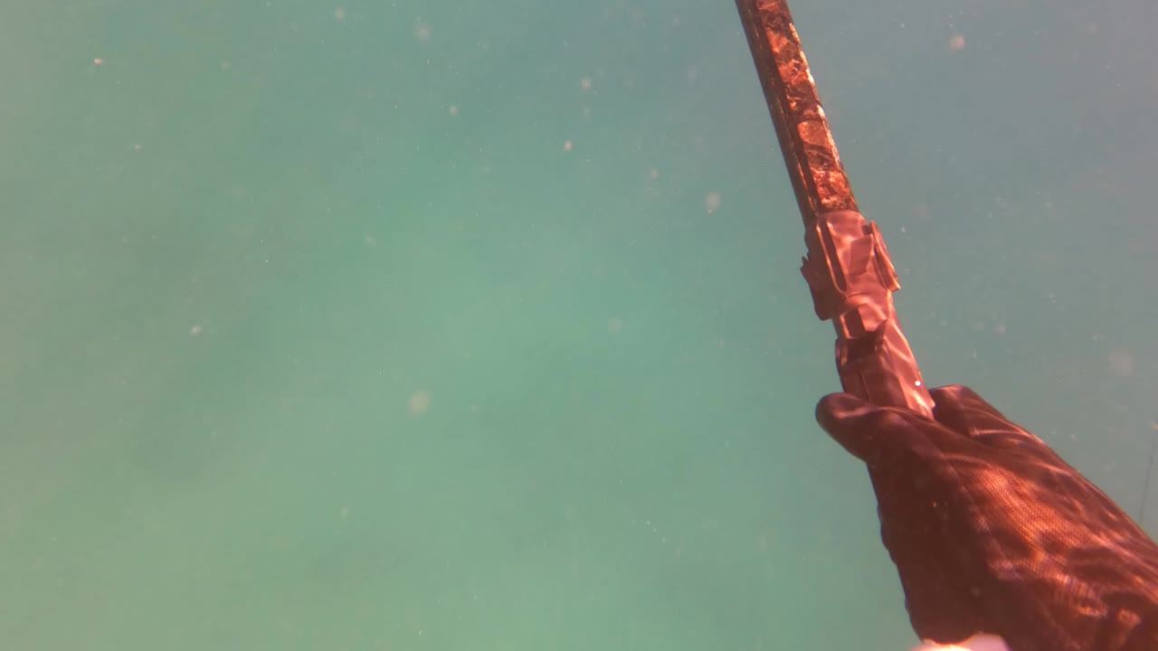 A hand grips a spear underwater in San Jose Del Cabo, with green-blue water and suspended particles around the close foreground action.