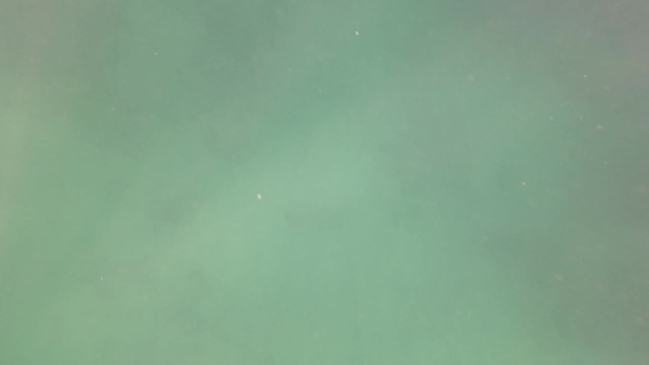Murky green underwater view in San Jose Del Cabo with floating particles and no visible people or gear in this moment.