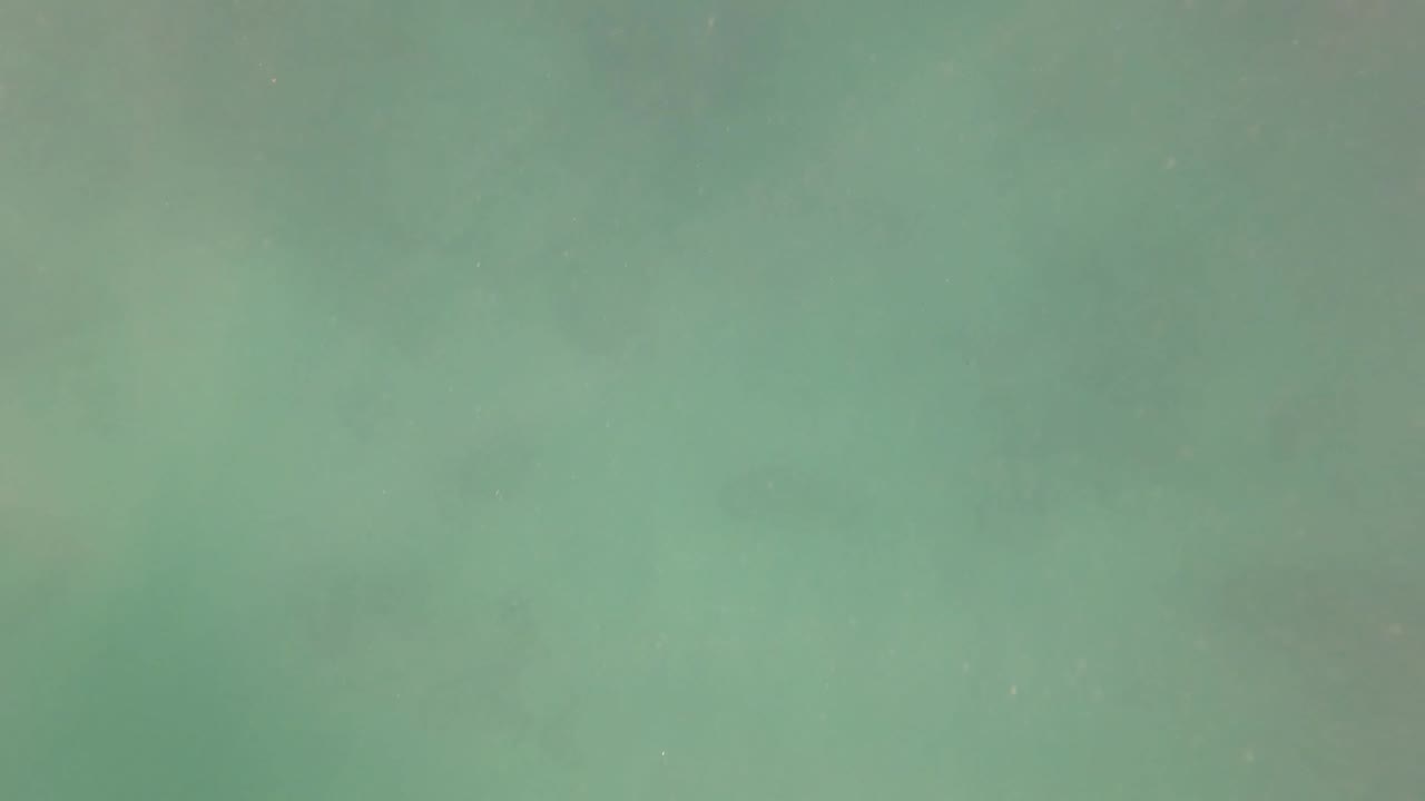 Cloudy green underwater frame with soft suspended particles.