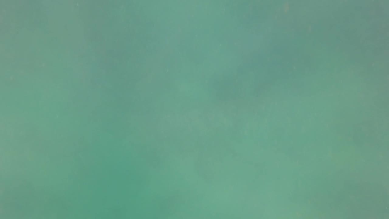 Clear green-blue underwater view with no main subject centered.