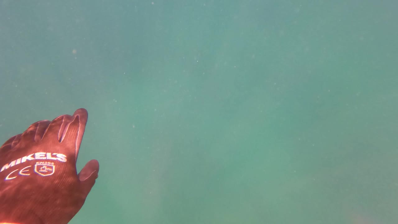 A dark red gloved hand with white text is centered high in the San Jose del Cabo underwater frame, surrounded by clear green-blue water.