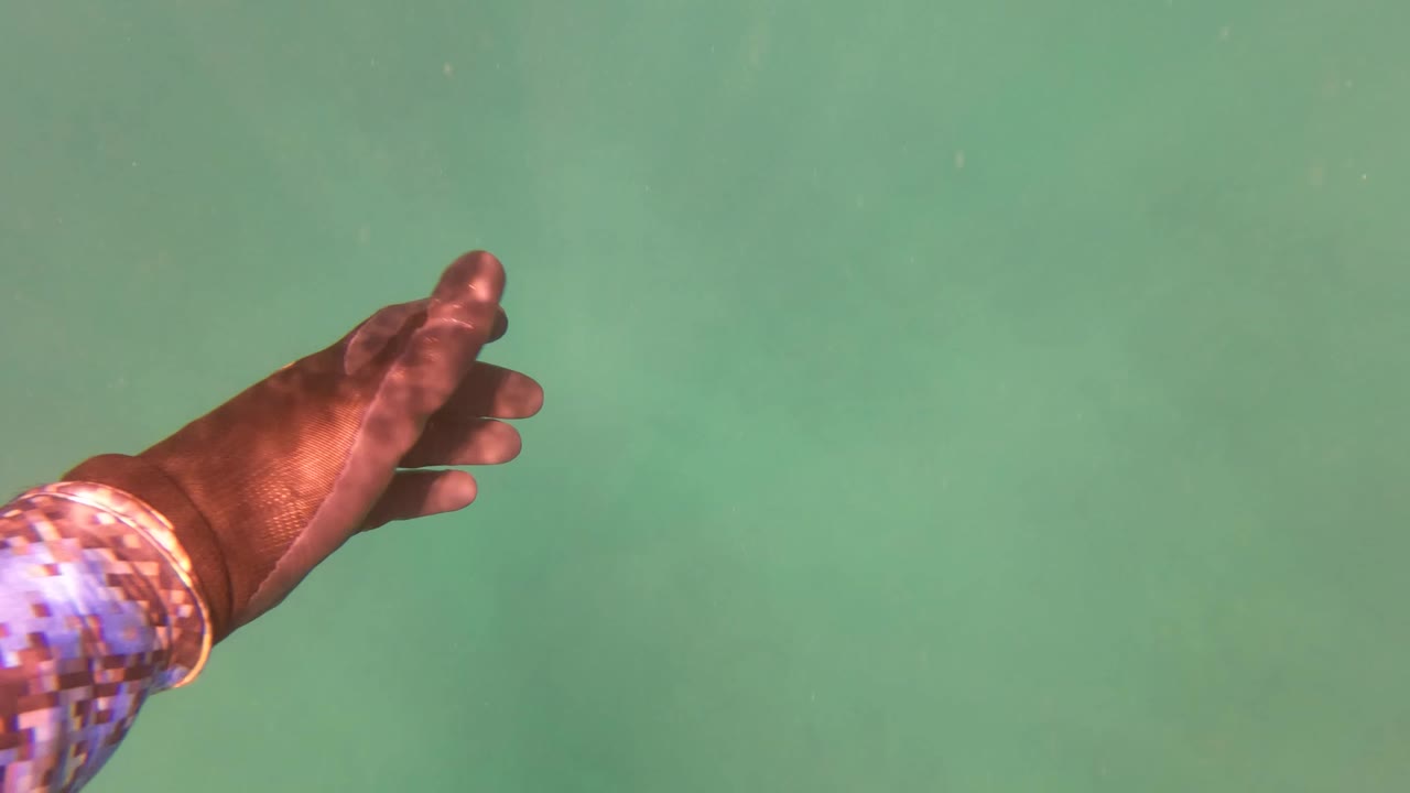 A gloved diver hand reaches in from the left edge against green underwater visibility in San Jose Del Cabo, Mexico, with no visible people.