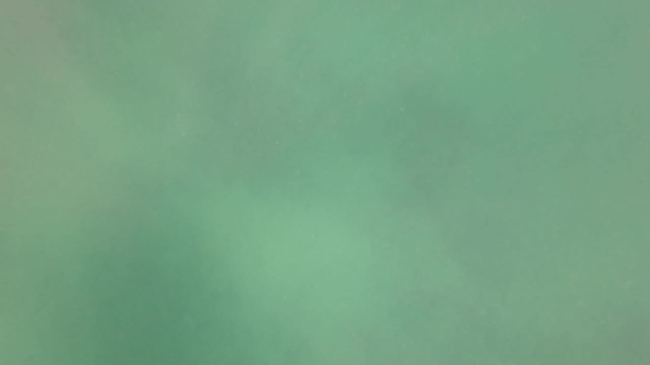 Green underwater water fills the frame in San Jose Del Cabo, Mexico, with faint suspended particles and no visible people.