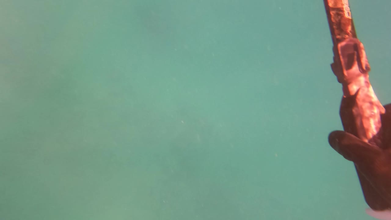 Part of a spearfishing tool and a hand appear at the right edge over green underwater water in San Jose Del Cabo, Mexico, with no visible people.