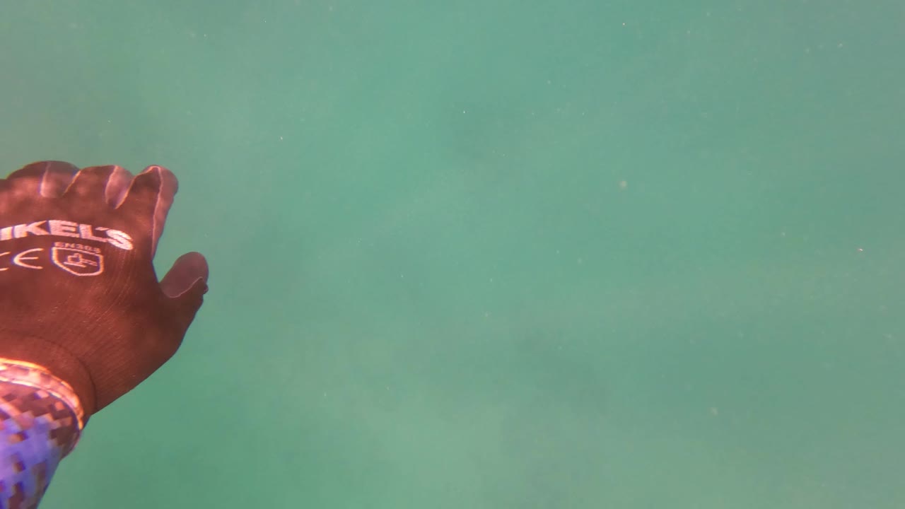 Gloved hand partially visible at lower left underwater