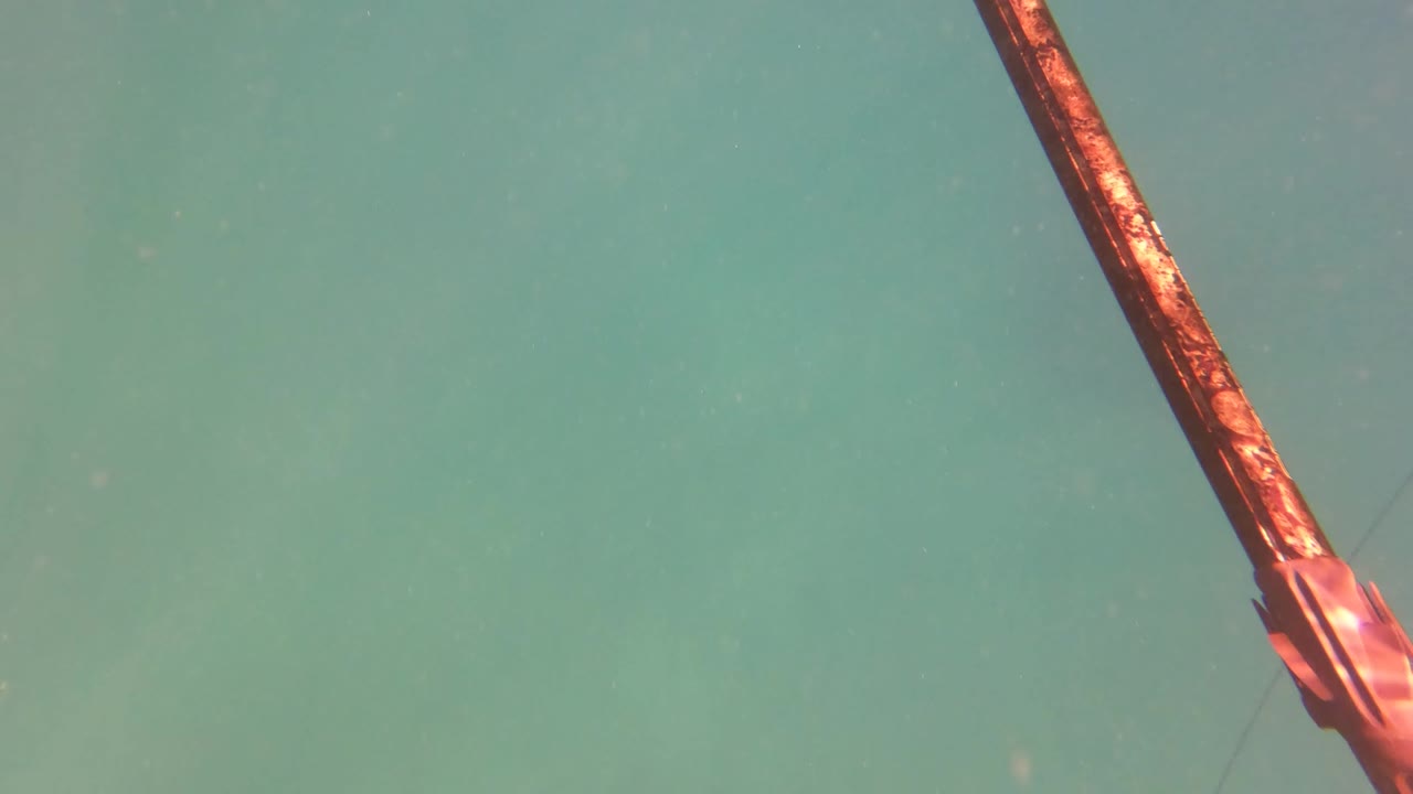 Rusted metal pole underwater in green water