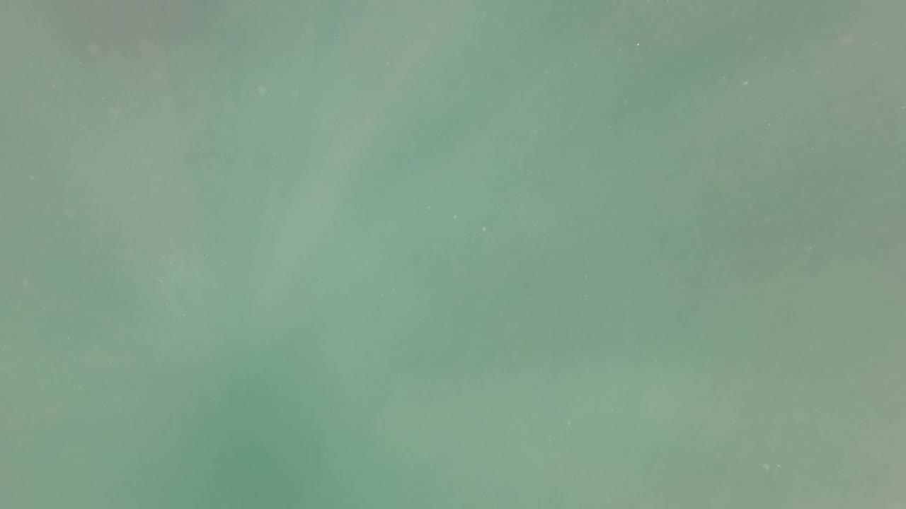 Hazy green underwater view in San Jose del Cabo, Baja California Sur, with soft light and no visible people.