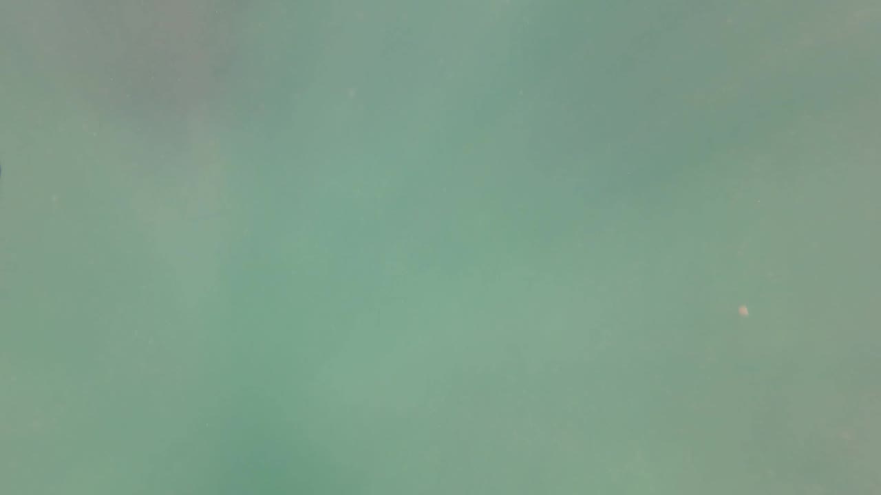 Green underwater frame in San Jose del Cabo, Baja California Sur, showing diffuse surface light through hazy water and no visible people.