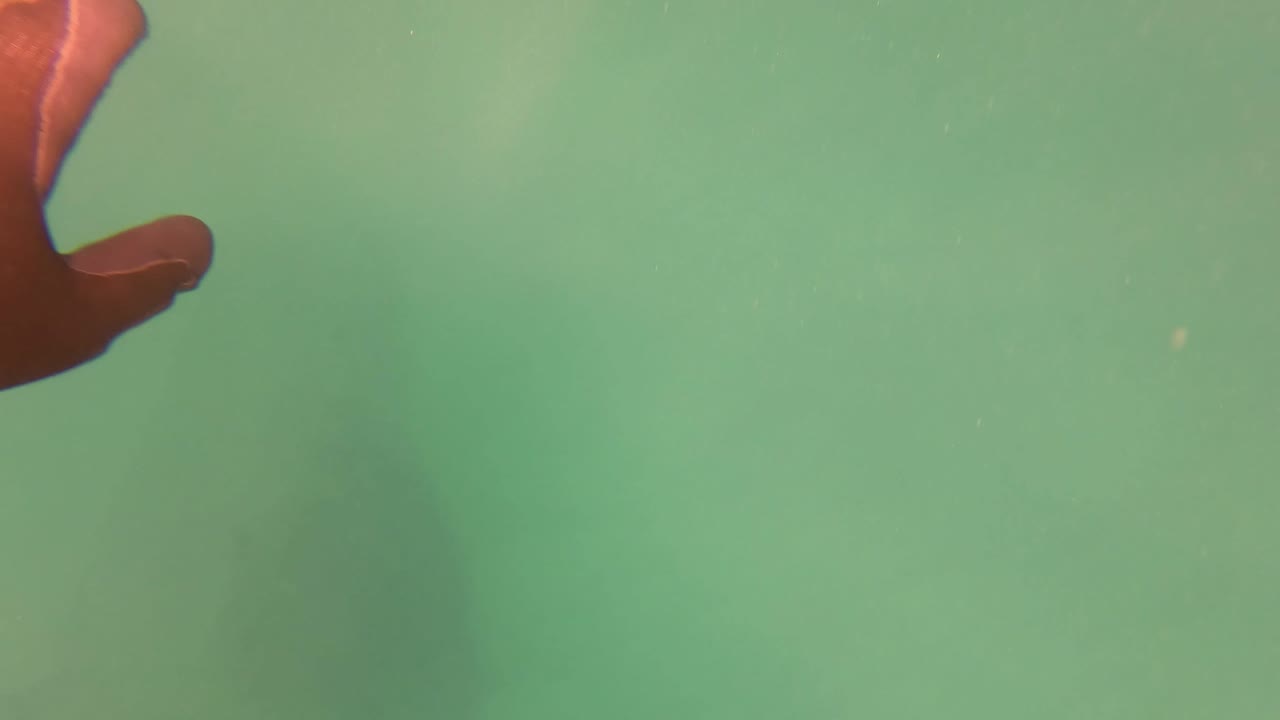 A small red tentacle section remains at the upper left of clear green water in San Jose del Cabo, with a diffuse darker patch below and no visible people.