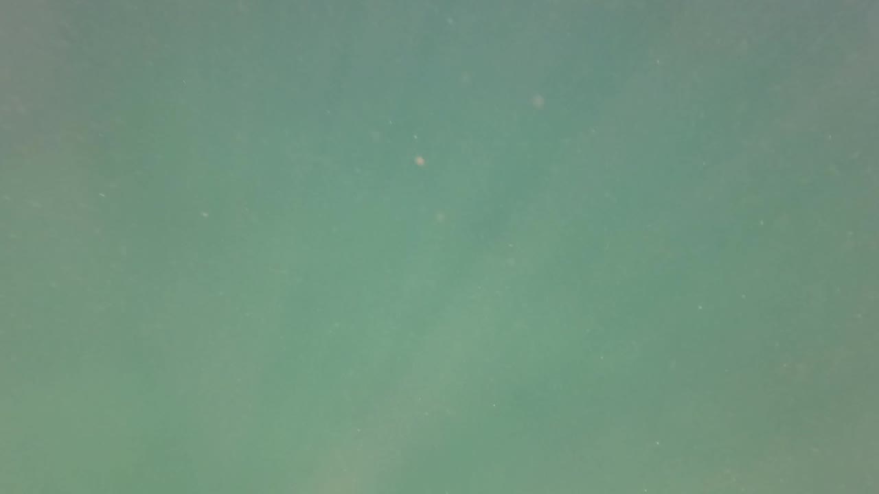 Open green-blue underwater view in San Jose del Cabo with faint suspended particles and no visible people or seabed detail.