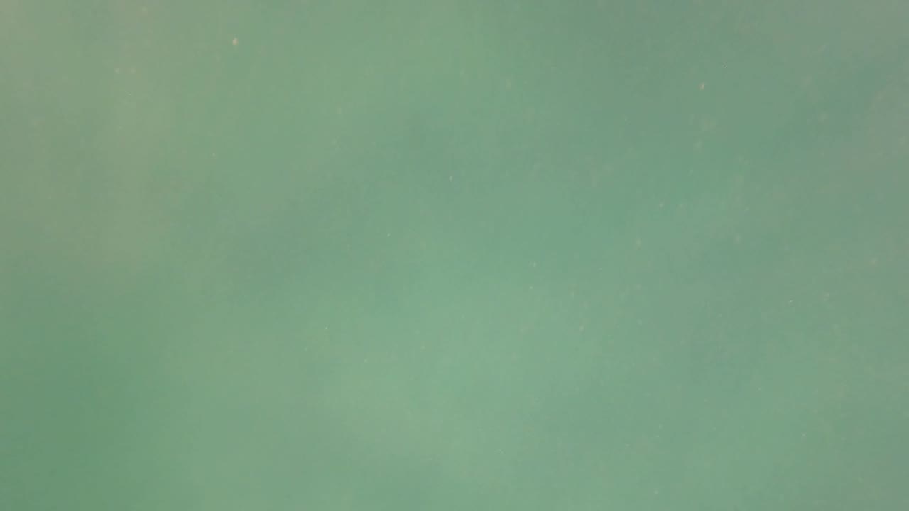 Open green underwater water