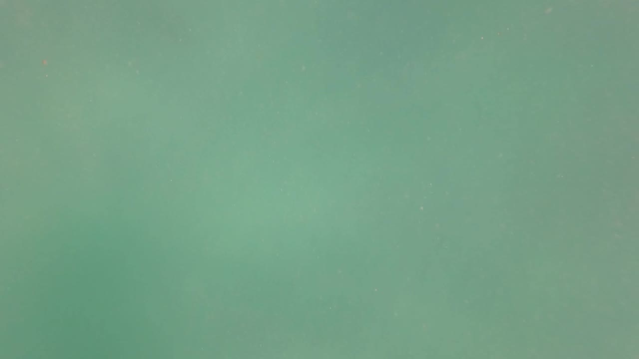 Green underwater haze with suspended particles