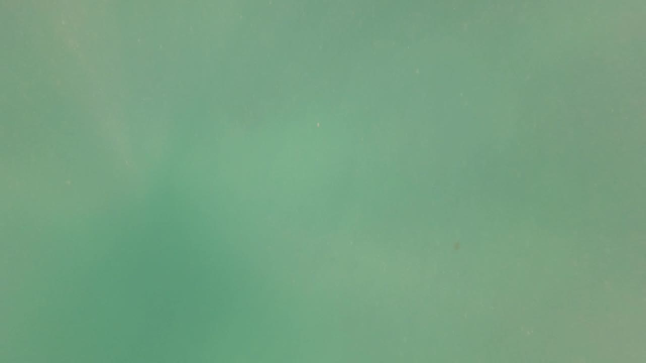 Green underwater gradient in San Jose Del Cabo with small particles spread through the frame and no visible people.