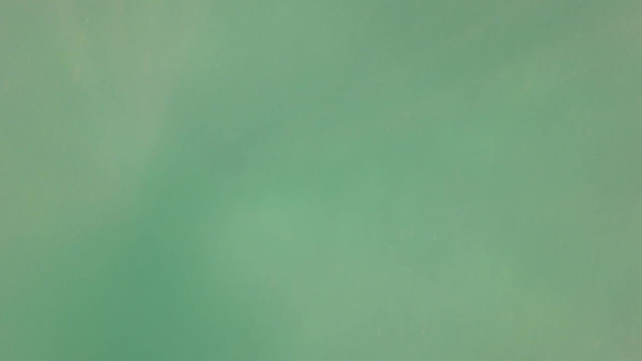 Muted green underwater scene in San Jose Del Cabo with drifting particle detail and no visible people in the lower row of the contact sheet.