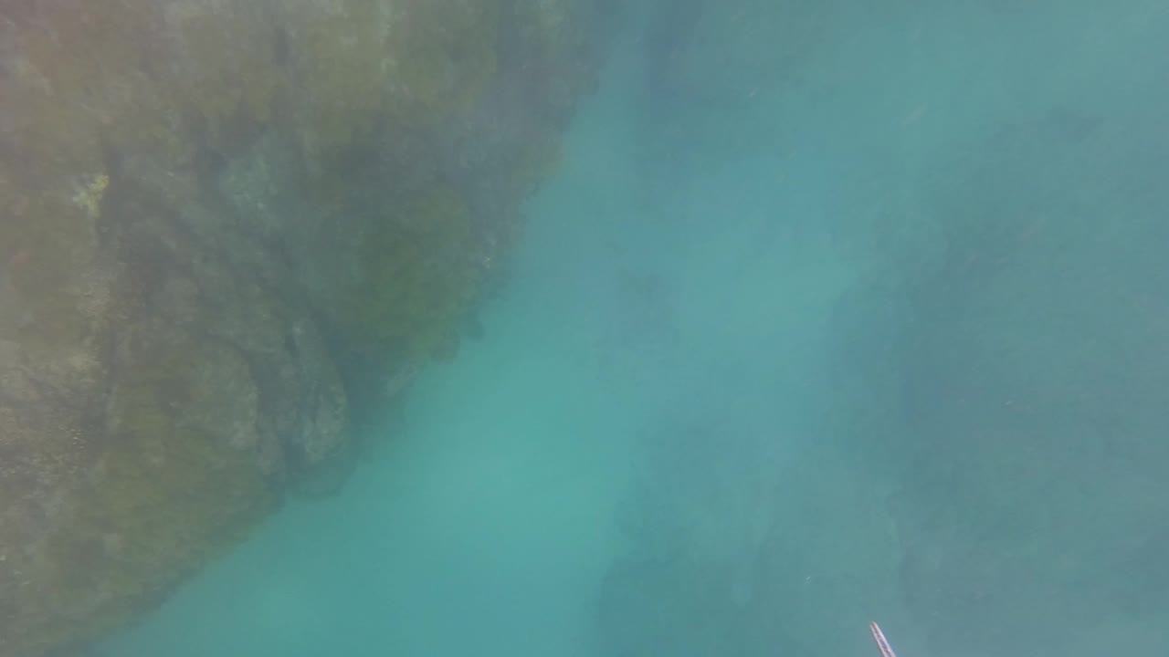 Clear green-blue water and a dark rocky edge appear underwater in San Jose Del Cabo, with no visible people.