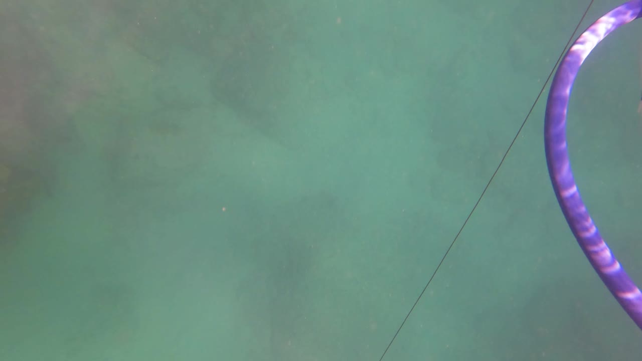 A purple and white fishing float and thin line enter the underwater frame over green-blue water in San Jose Del Cabo, with no visible people.