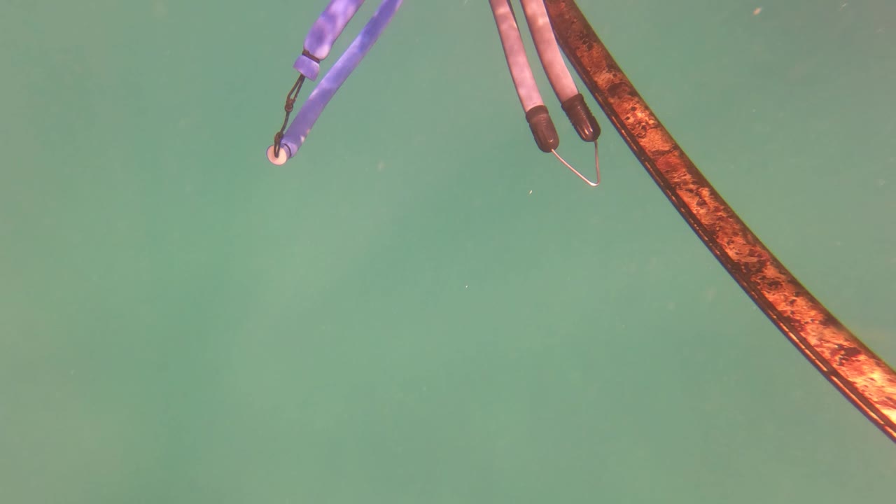 Purple rope strips and a rust-brown submerged cable hang through green turbid water in San Jose Del Cabo, with suspended particles and no visible people.