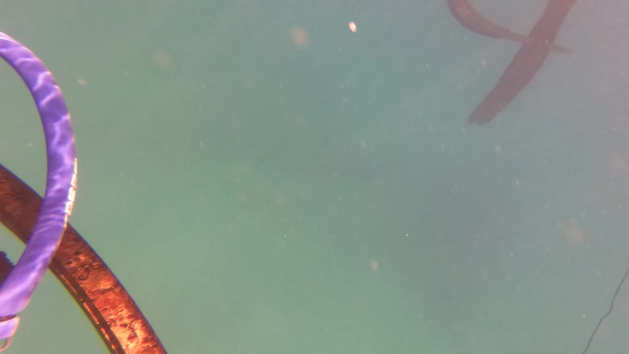 Curved purple strip beside a rust-colored cable underwater.