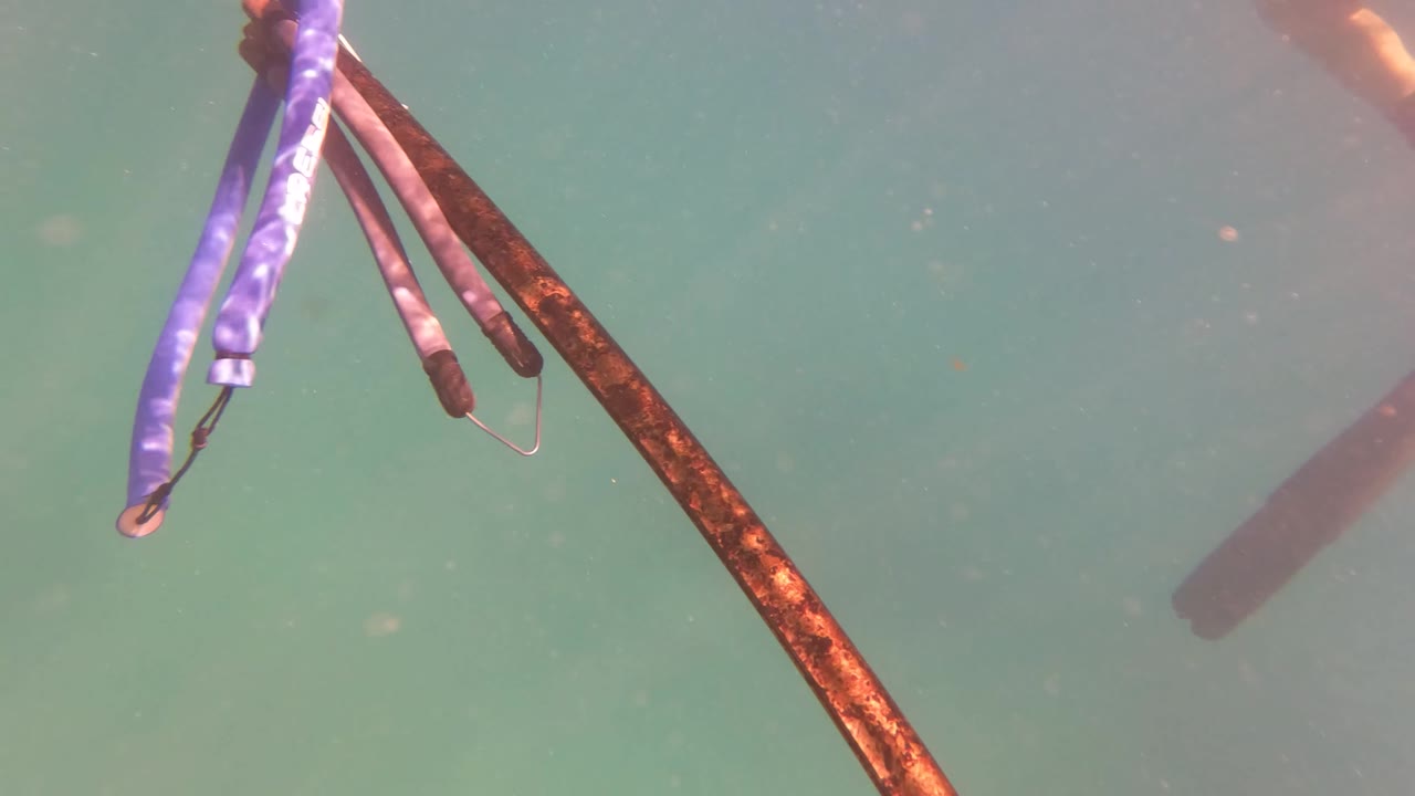 Cloudy green underwater space fills most of the frame in San Jose Del Cabo, while dark and purple gear remains near the top edge and no people are visible.